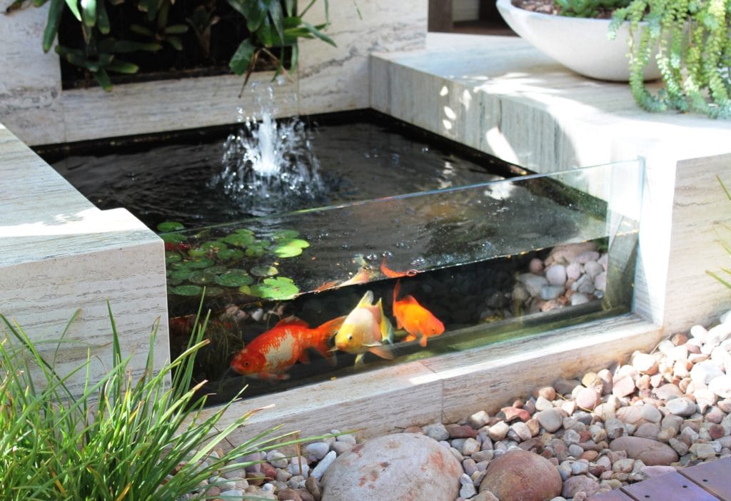 Kolam Ikan Kaca Minimalis