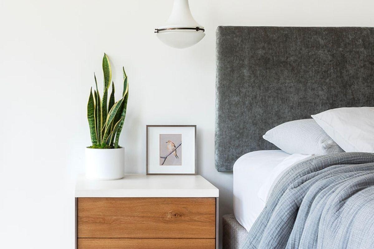 Tanaman indoor Sansevieria atau Lidah Mertua di dalam pot anyaman yang diletakkan di samping kasur kamar tidur untuk menghasilkan oksigen.