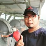 Sinergi stone director 07